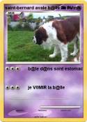 saint-bernard avale b@lle de tennis saint-bernard