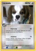 cocobello cocobello
