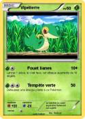 Vipélierre Vipélierre