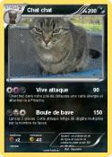 Chat chat