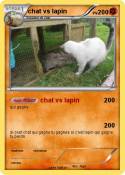 chat vs lapin