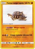 Tortue mega