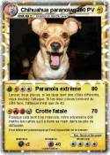 Chihuahua