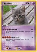 psy cat ouf