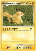 poké lapin