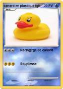 canard en