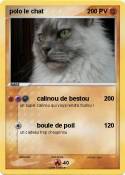 polo le chat