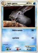 lapin garou