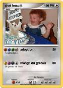 chat fou