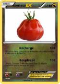 tomato