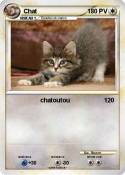 Chat