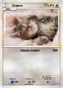 Chaton