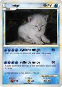 neige