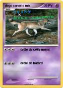 dogo canario