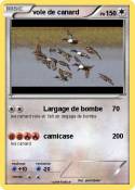 vole de canard
