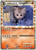 chaton niv X