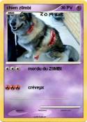 chien z0mbi chien z0mbi
