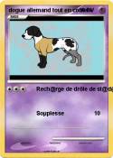 dogue allemand