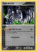 Tigre du Ciel Tigre du Ciel
