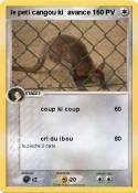 le peti cangou
