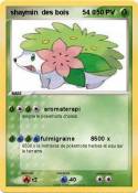 shaymin des