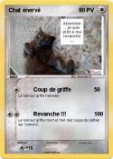 Chat énervé