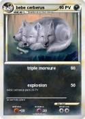 bebe cerberus
