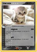 chat bébé