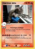 chat-tireur