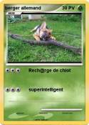 berger allemand