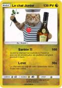 Le chat Junior
