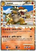 bowser bowser