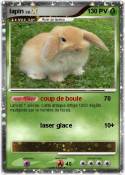 lapin lapin