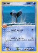 BALéNE