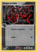 Dragon invisible Dragon