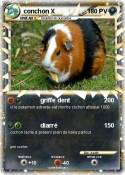 conchon X