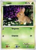 Lapin