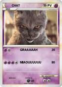 CHAT