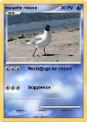 mouette rieuse mouette rieuse
