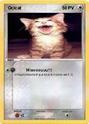  Ocicat