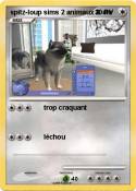 spitz-loup sims 2 animaux & cie spitz-loup sims