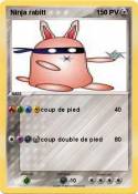 Ninja rabitt 