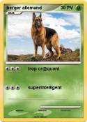 berger allemand