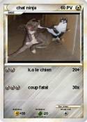chat ninja