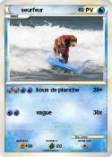 seurfeur