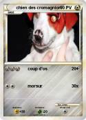 chien des