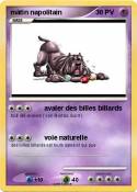 mâtin