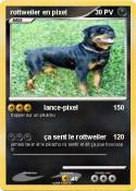 rottweiler en