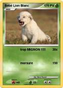 Bébé Lion