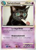 TheCat'sChouté
